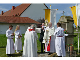 Bittprozession an Pfingstmontag (Foto: Karl-Franz Thiede)